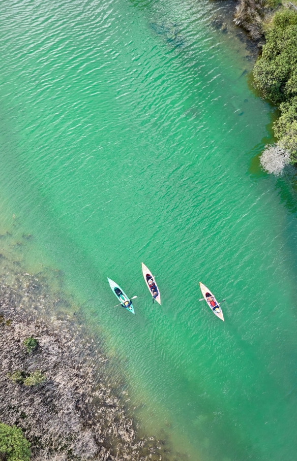 Anglesea Paddle Boats, Anglesea, Victoria © Tourism Australia