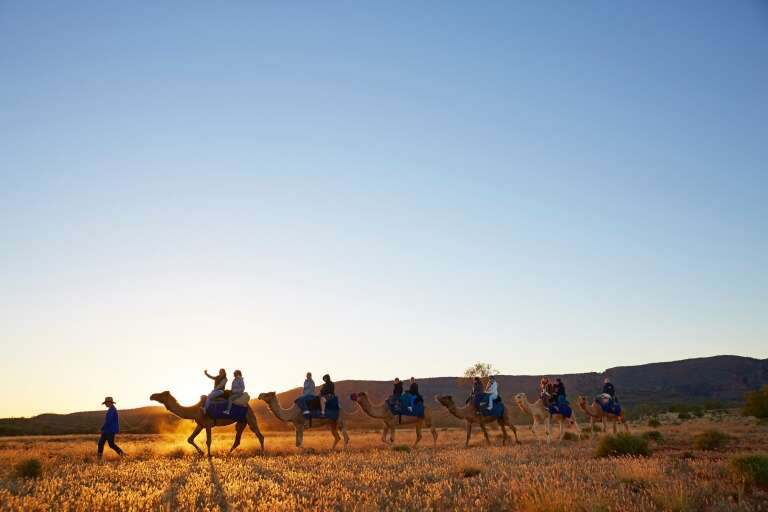 Camel tours at Pyndan, Northern Territory © Tourism NT/Maxime Coquard
