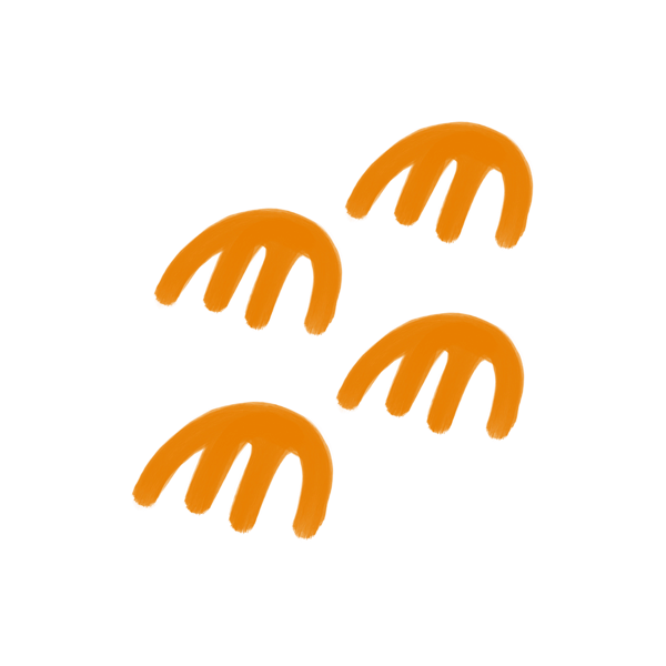 Indigenous Symbol