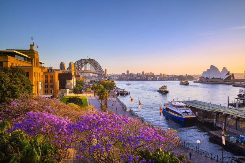 Jacarandas and Sydney Harbour at sunset, Sydney, New South Wales © Destination NSW