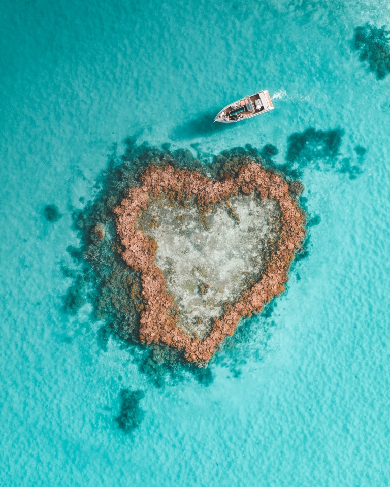 Aerial view of Heart Reef, Whitsundays, Queensland © Saltywings 