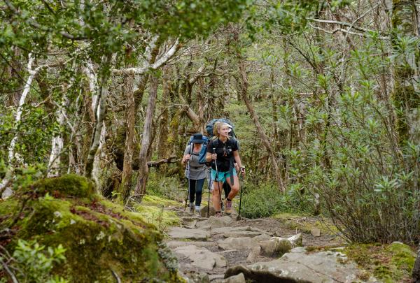 Two hikers walk through bushland on Cradle Mountain, Northern Tasmania © Tourism Australia