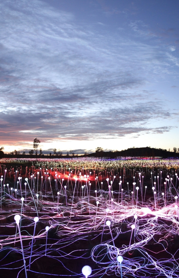 Field of Light by Bruce Munro, Uluru, NT © Mark Pickthall