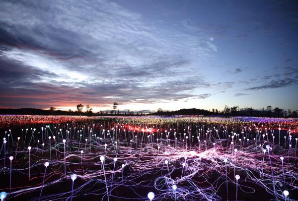 Field of Light by Bruce Munro, Uluru, Northern Territory © Mark Pickthall