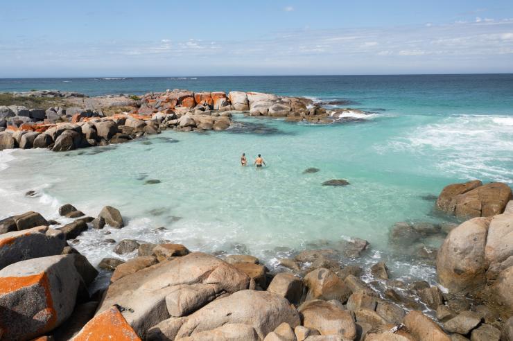 Two people wade in the shallow waters, they are surrounded by the distinct red-orange lichen-covered rocks that the area is famous for. The scene captures the contrast between the vibrant, fiery hues of the rocks and the serene, gradual deepening blues of the ocean as the water gets deeper, Bay of Fires, Tasmania © Tourism Australia