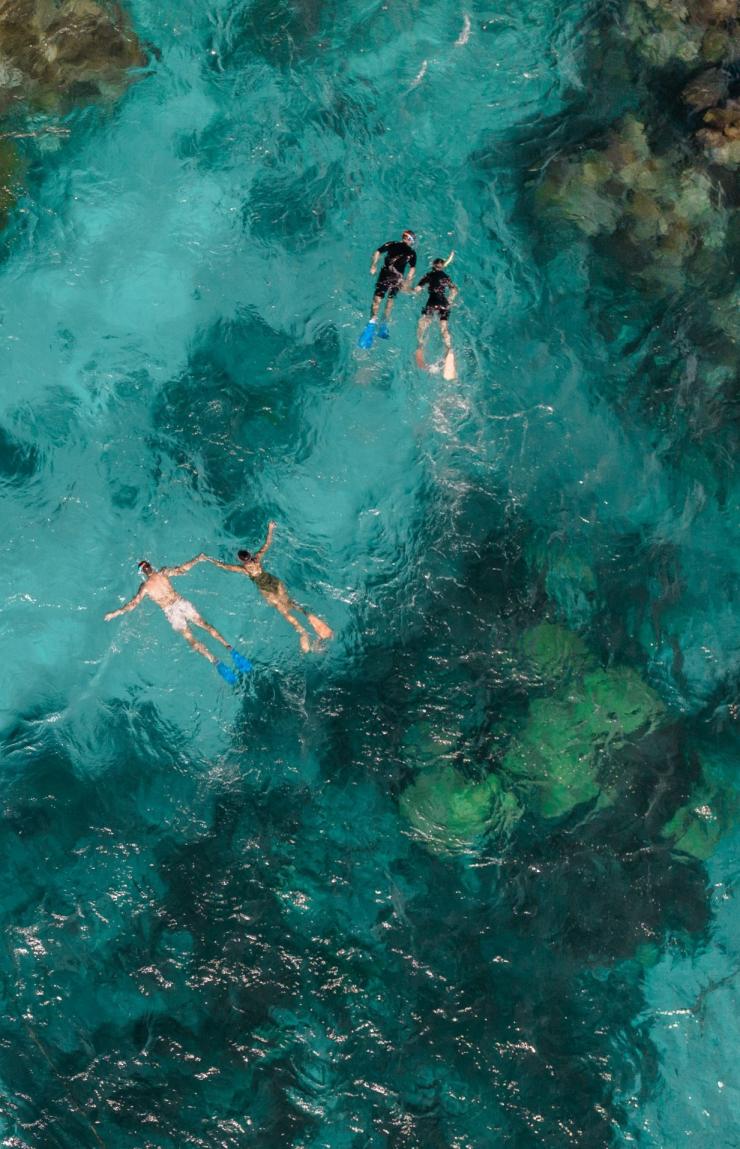 In this aerial image, guests aboard the Dreamtime Snorkel tour boat are enjoying a snorkelling adventure amidst the crystal-clear waters of the pristine Great Barrier Reef near Cairns. This exclusive tour offers a unique opportunity to explore two breathtaking outer reef sites, possibly including Milln, Flynn, Hastings, Saxon, Norman, or Thetford Reef. With Indigenous Cultural Guides, you can immerse yourself in the Dreamtime of the Great Barrier Reef, making unforgettable memories beneath the sea. © Tourism Australia