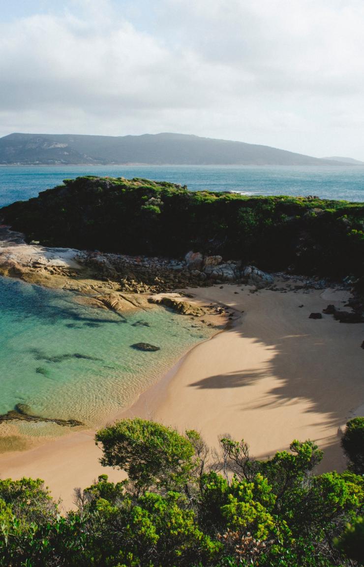 Killiecrankie Beach, Flinders Island Beach, Flinders Island, Tasmania © Tourism Tasmania