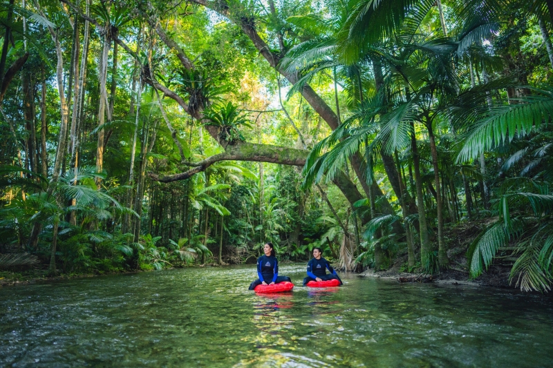 River Drift Snorkelling Tour, Back Country Bliss Adventures, Daintree, Queensland © Tourism Tropical North Queensland