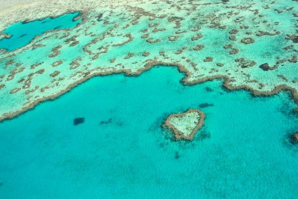 Aerial view of Heart Reef, Great Barrier Reef, Queensland © Tourism Whitsundays