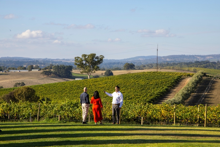 Small Batch Wine Tours, Adelaide Hills, South Australia © South Australian Tourism Commission