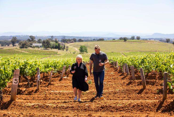 Field Trip with Curtis Stone at Tyrrells Wines, Hunter Valley on October 18, 2019