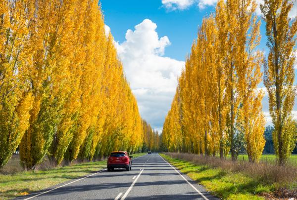 Marysville, Victoria © Robert Blackburn, Visit Victoria