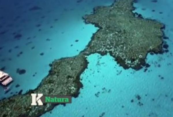Australia featured on Kilimangiaro, Italian TV show © Kilimangiaro