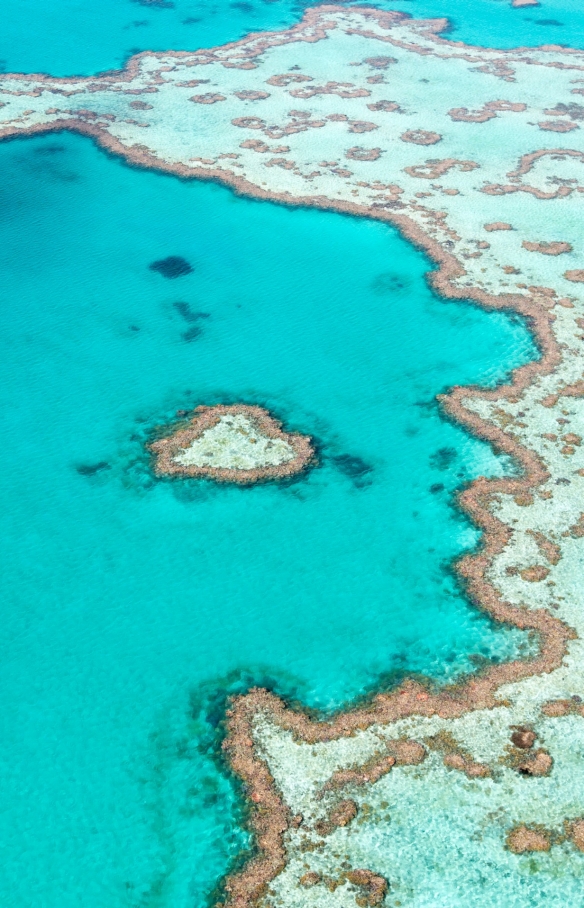 Heart Reef, Great Barrier Reef, QLD © Tourism and Events Queensland