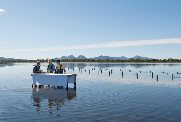 Saffire Freycinet Marine Oyster Farm Experience, Freycinet, Tasmania © Tourism Australia