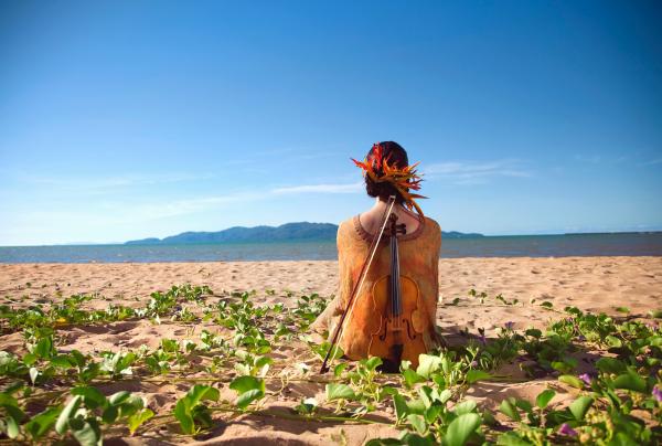 Australian Festival of Chamber Music, Townsville, Queensland © Nyree MacKenzie Photography