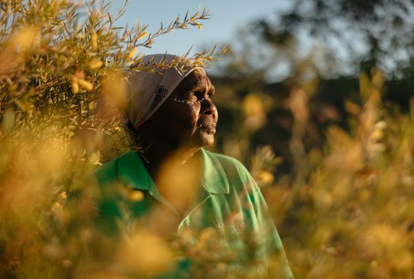 Kingfisher Tours, Purnululu National Park, Western Australia © Jarrad Seng, Tourism Australia