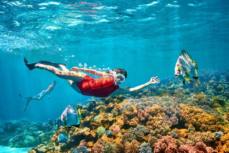 Great Barrier Reef, QLD © Tourism Australia