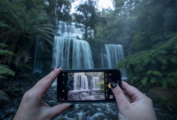 Person taking a photo with their mobile phone of Russell Falls, Mt Field National Park, Tasmania © Tourism Australia