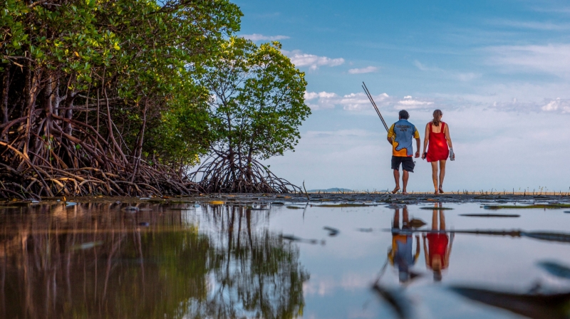Walkabout Cultural Adventures, Daintree Rainforest, Tropical North Queensland © Tourism & Events Queensland