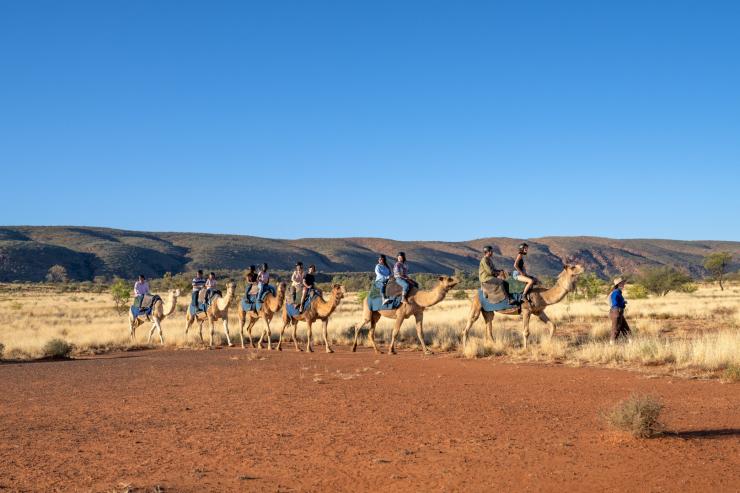 Pyndan Camel Tracks sunset tour, Alice Springs, Northern Territory @ Tourism Australia