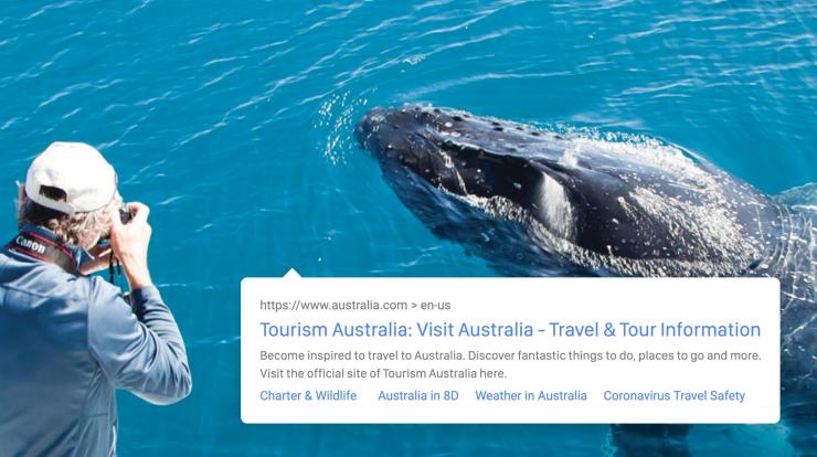 Hervey Bay Whale Watching, Hervey Bay, QLD © Matthew Taylor/Tourism and Events Queensland
