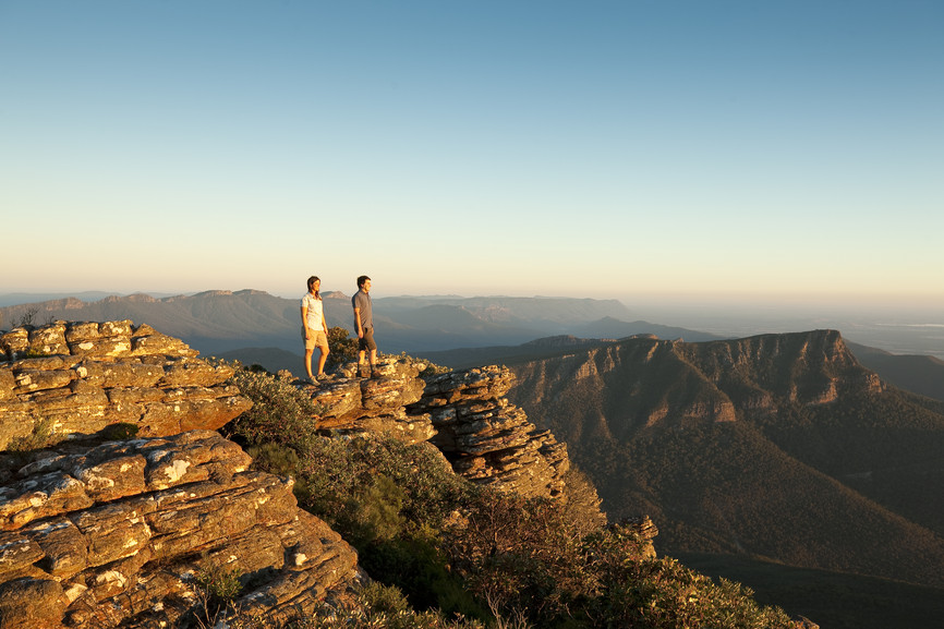 State and Territory Government Support for Coronavirus ...