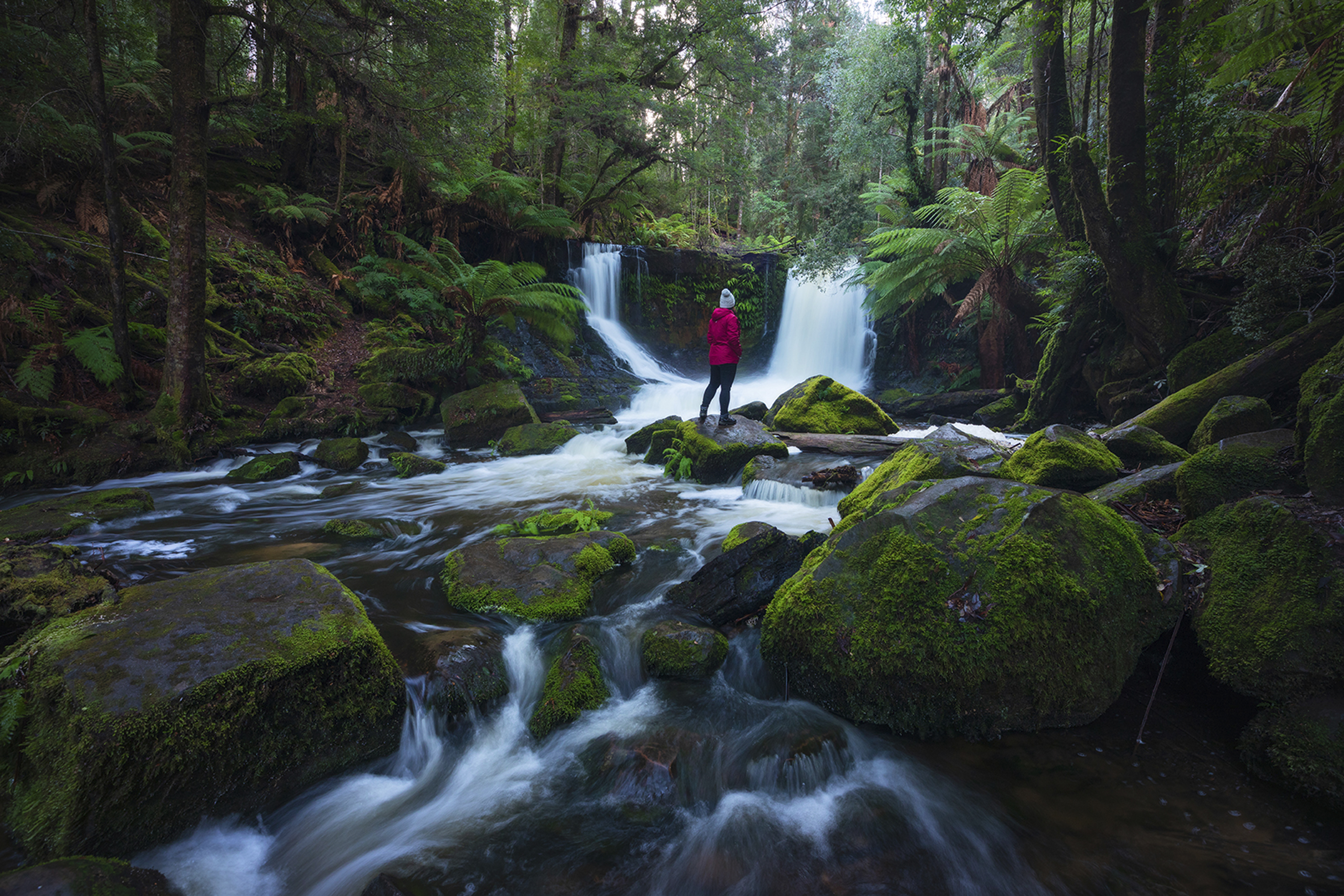 Horseshoe Falls, Mount Filed, TAS Horseshoe Falls, Mount Filed, TAS