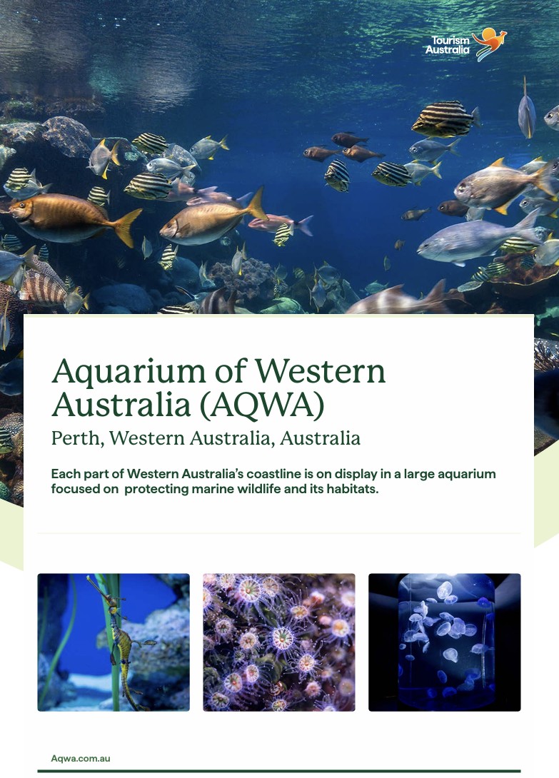 Aquarium of Western Australia (AQWA) © Tourism Australia