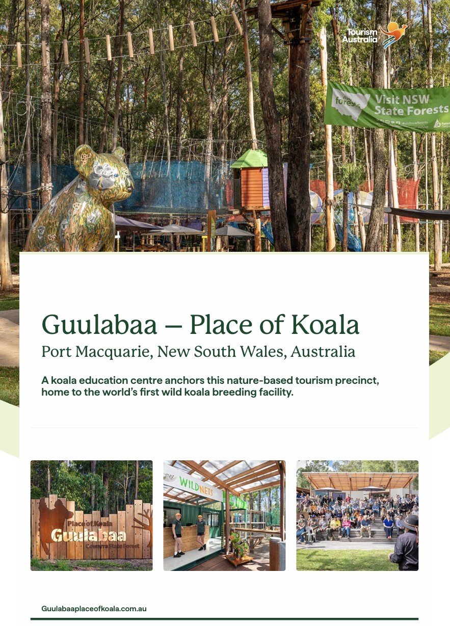 Guulabaa - Place of Koala © Tourism Australia