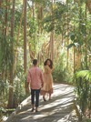A couple walking down the boardwalk amongst lush greenery at Crystalbrook Byron, Byron Bay, New South Wales © Crystalbrook Byron