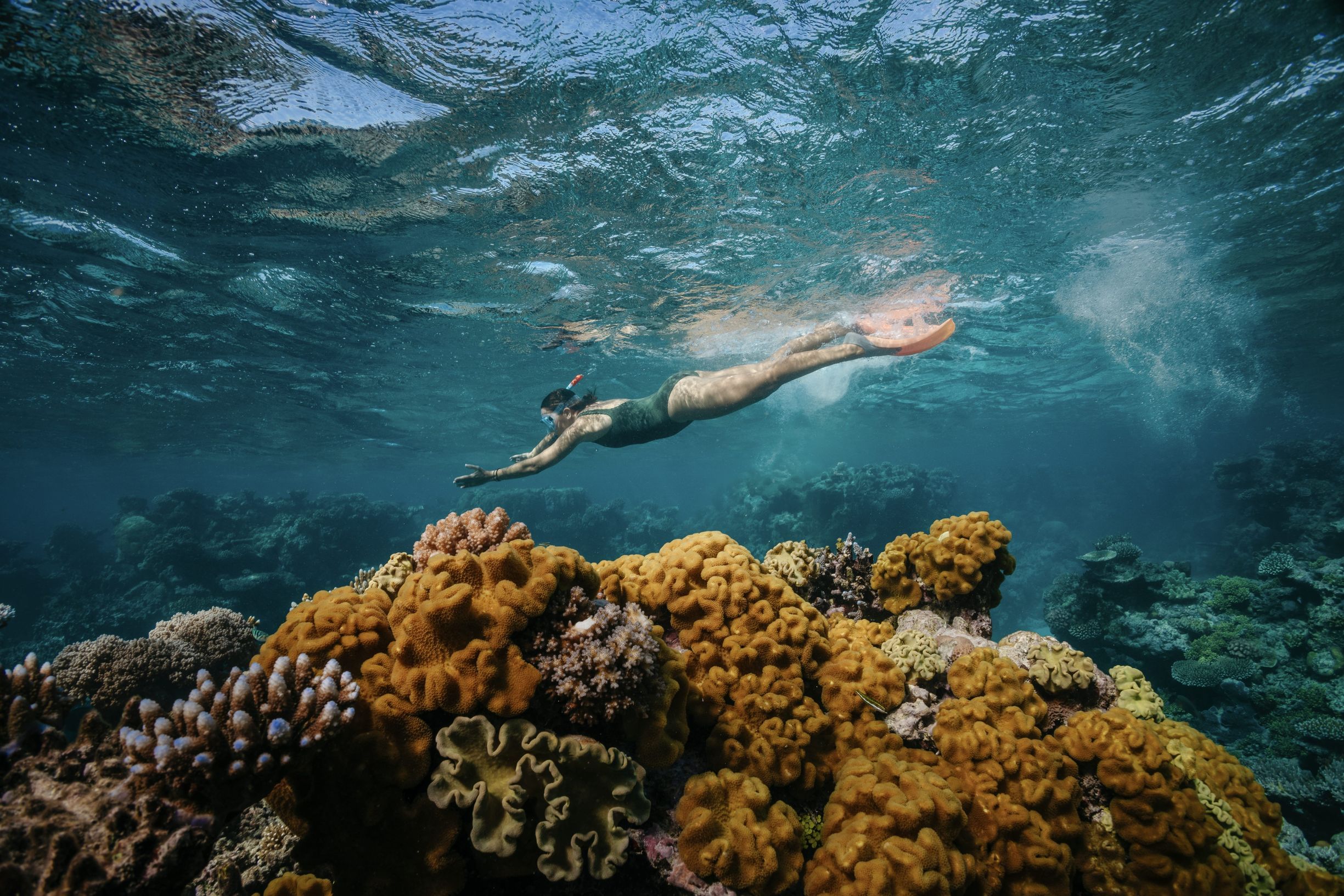 Woman diving underwater, Dreamtime Dive and Snorkel, Great Barrier Reef, Queensland © Tourism Australia